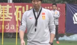 颜骏凌最新爆料,国家队备战背后的故事与挑战