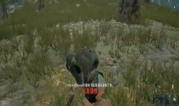 绝地求生小海最新爆料,新版本内容大揭秘！