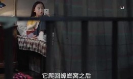 神秘最新爆料视频在线观看,揭秘背后惊人真相！